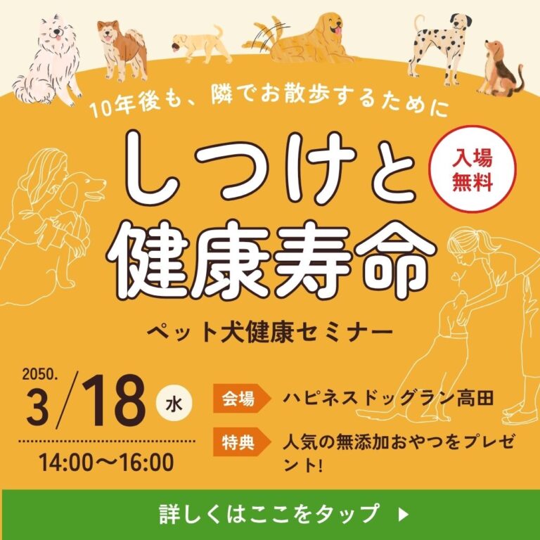 リッチメッセージデザイン 51